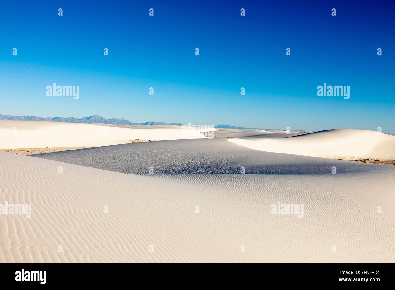 États-Unis, Nouveau-Mexique, parc national de White Sands, dunes de sable Banque D'Images