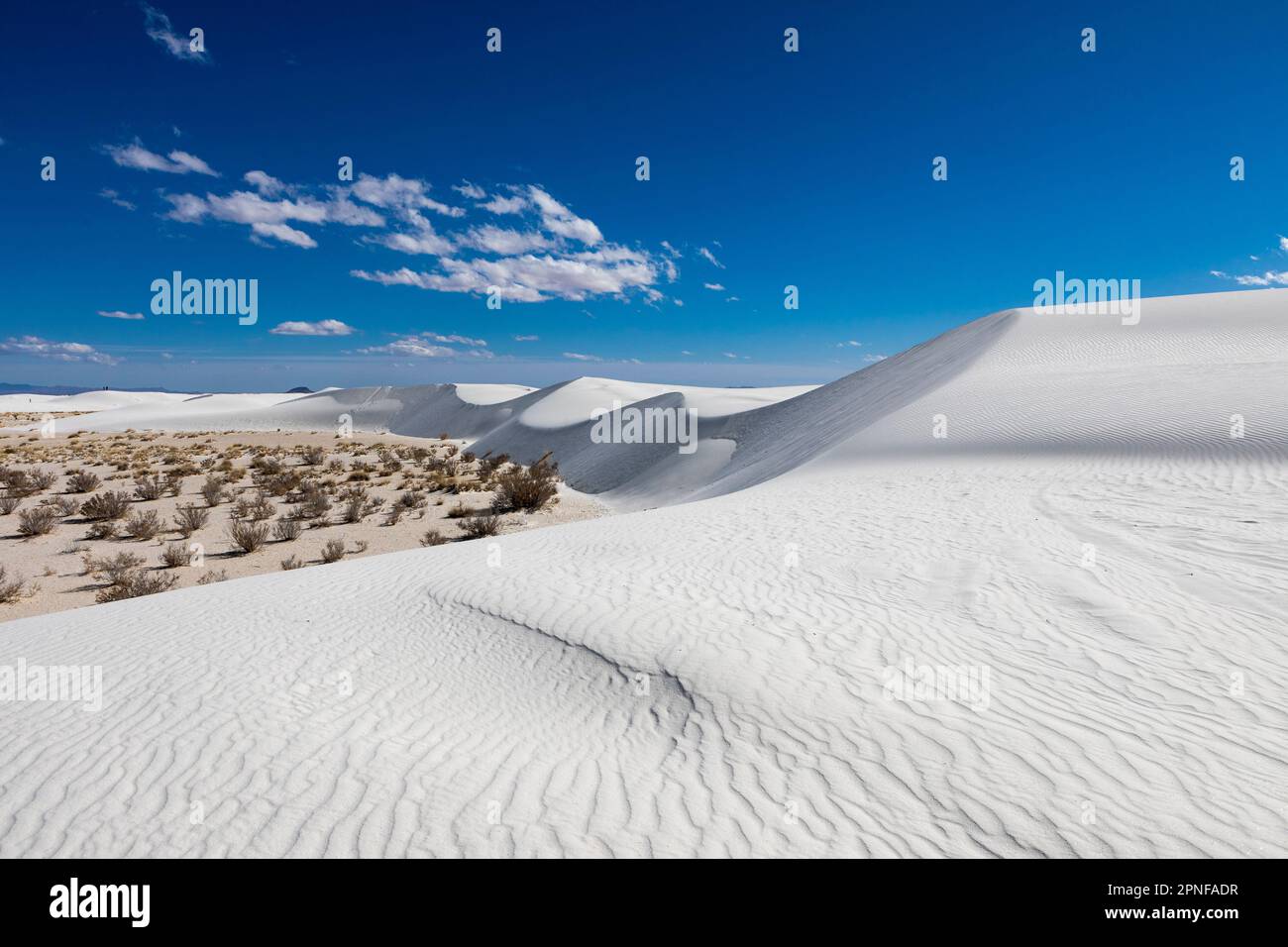 États-Unis, Nouveau-Mexique, parc national de White Sands, dunes de sable Banque D'Images