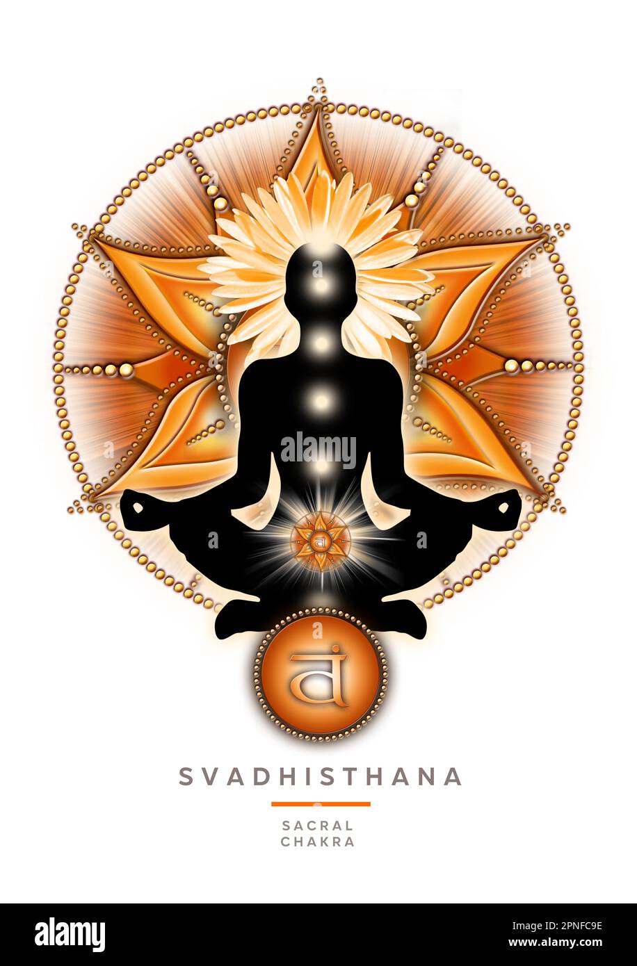 M Ditation Du Chakra Sacr Dans La Posture Du Lotus De Yoga Devant Le Symbole Du Chakra