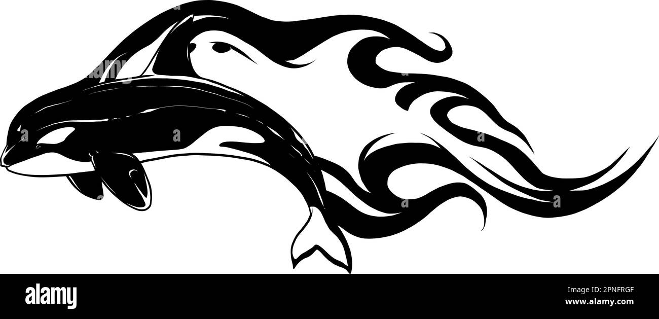 dessin monochrome d'une baleine d'orque sautant en noir et blanc. illustratrice. Illustration de Vecteur