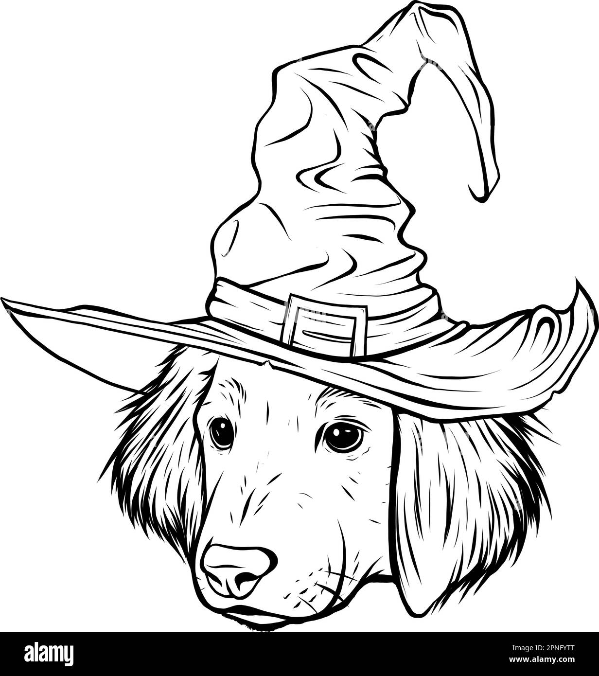 tête de chien en dachshund monochrome noir et blanc. Illustration vectorielle du logo du magasin d'animaux de compagnie Illustration de Vecteur