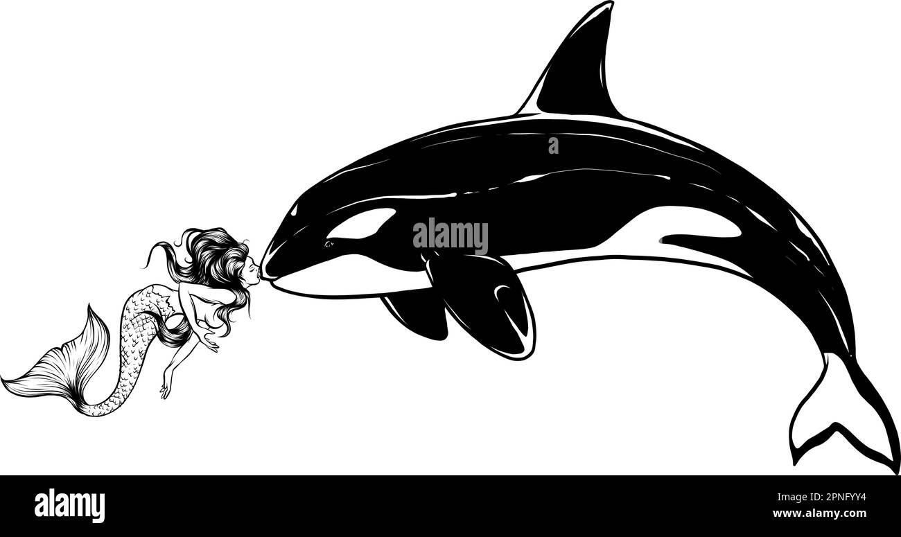 dessin monochrome d'une baleine d'orque sautant en noir et blanc. Banque D'Images