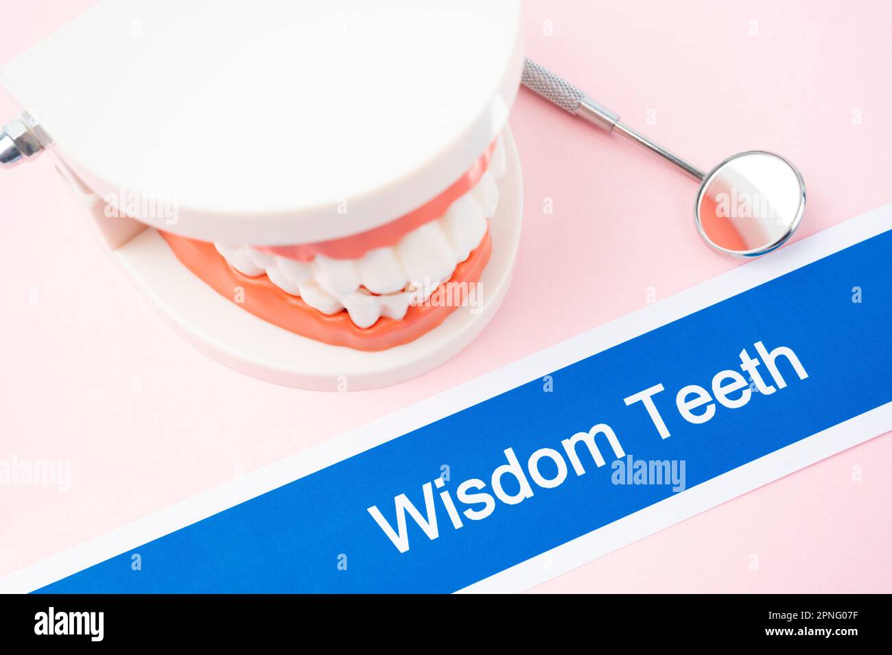 Modèle de dents avec la Wisdom dents maladie dentaire sur fond de couleur rose. Banque D'Images