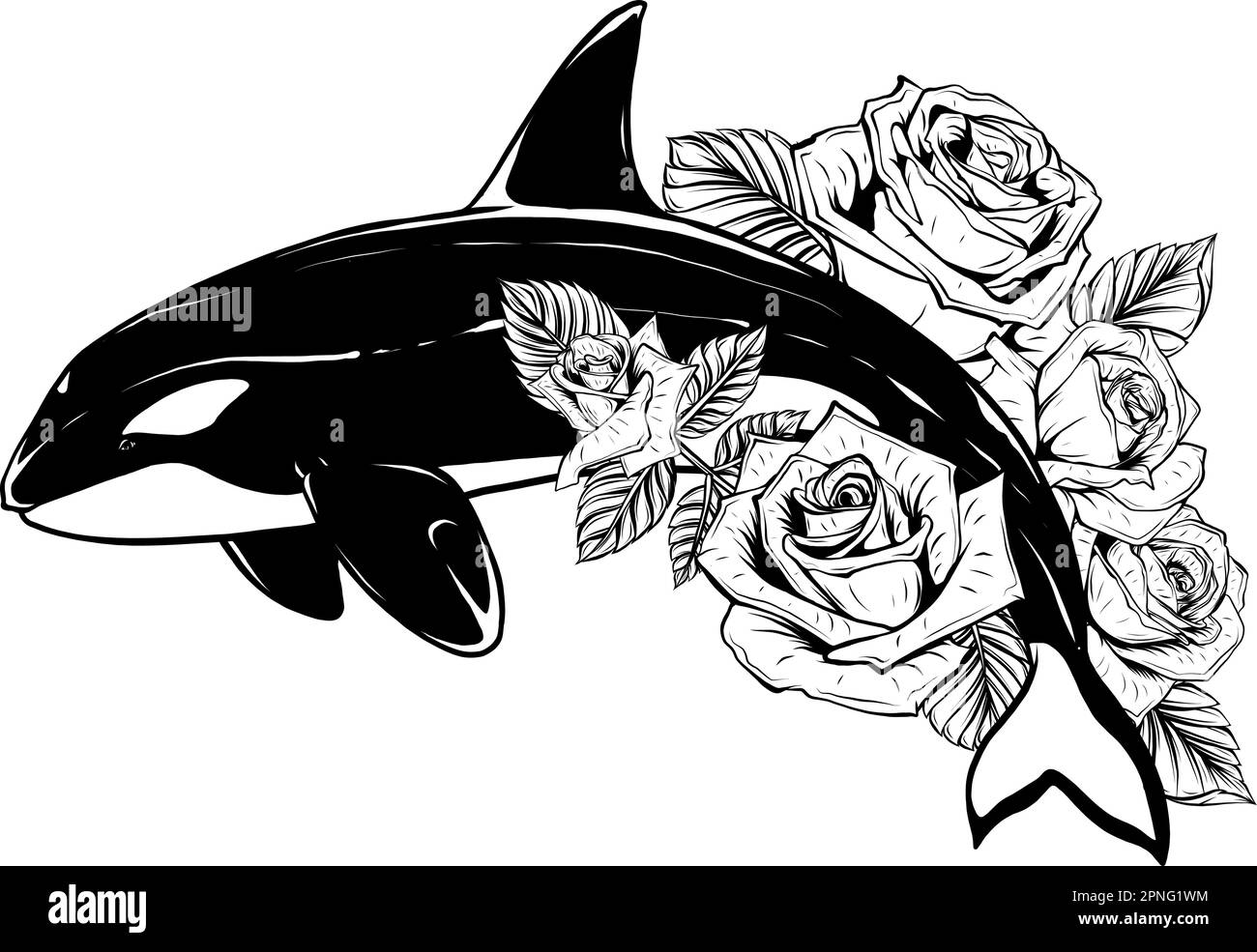 dessin monochrome d'une baleine d'orque sautant en noir et blanc. Illustration de Vecteur