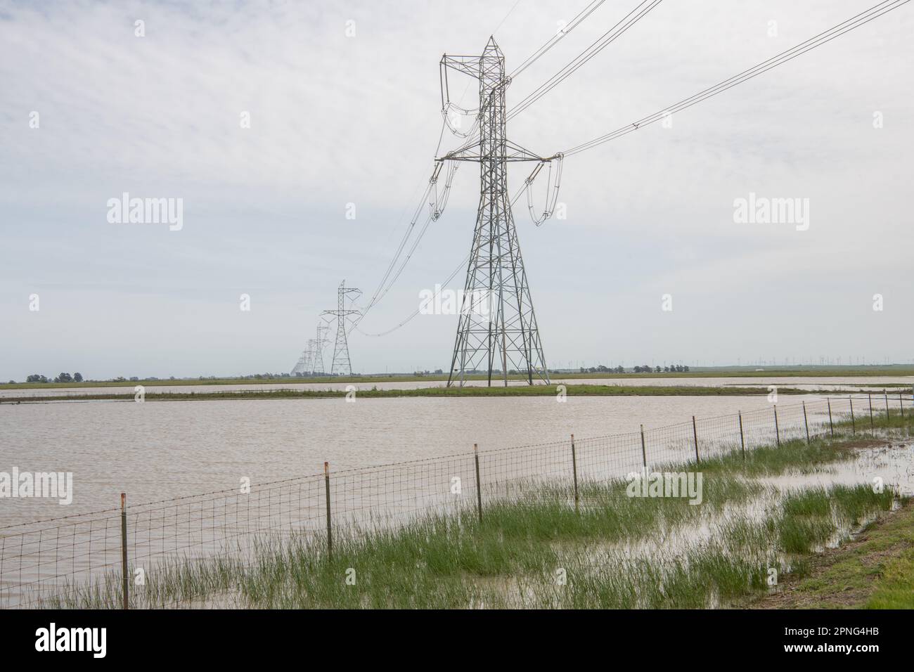 Les tours électriques au-dessus des champs inondés se tournèrent vers des piscines verdoyantes dans la vallée centrale de la Californie. Banque D'Images