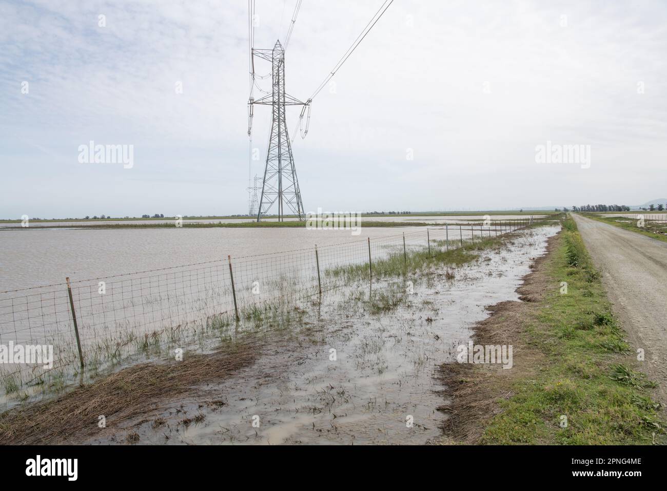 Les tours électriques au-dessus des champs inondés se tournèrent vers des piscines verdoyantes dans la vallée centrale de la Californie. Banque D'Images