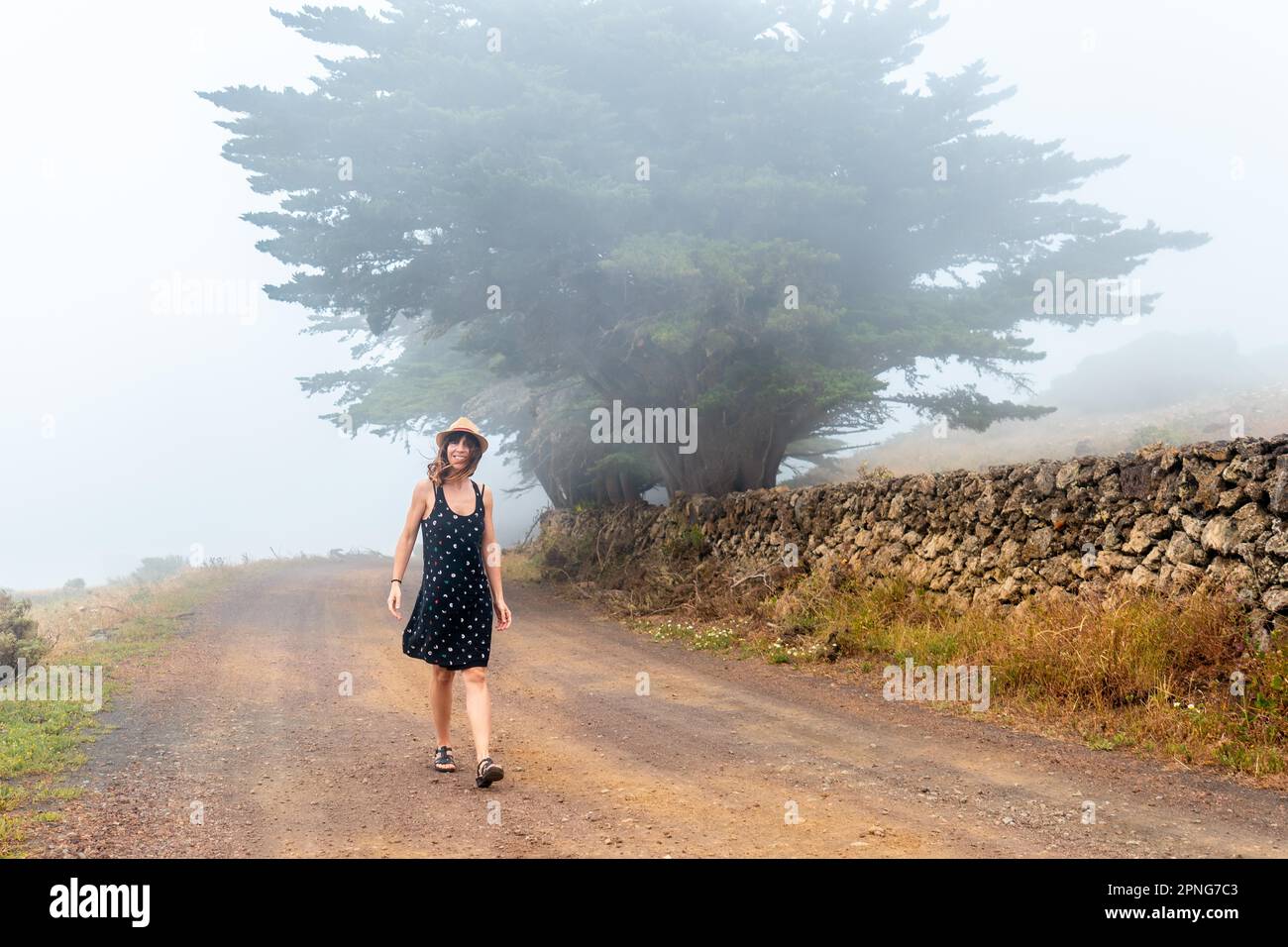 Femme touristique avec chapeau marchant à travers le chemin brumeux vers la forêt de genévrier à El Hierro. Îles Canaries Banque D'Images