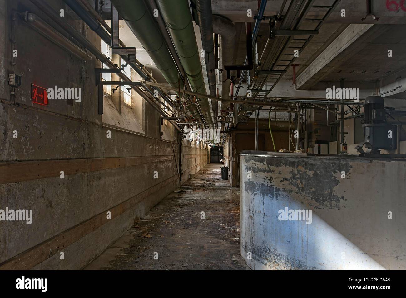 Lignes d'approvisionnement au sous-sol d'une ancienne usine de papier, place perdue, Bade-Wurtemberg, Allemagne Banque D'Images