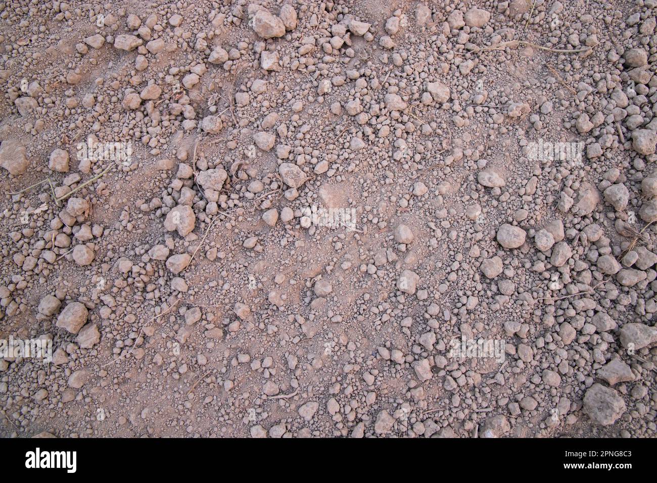 La texture de champ de tourbe de sol écrasée brune peut être utilisée comme papier peint de fond Banque D'Images