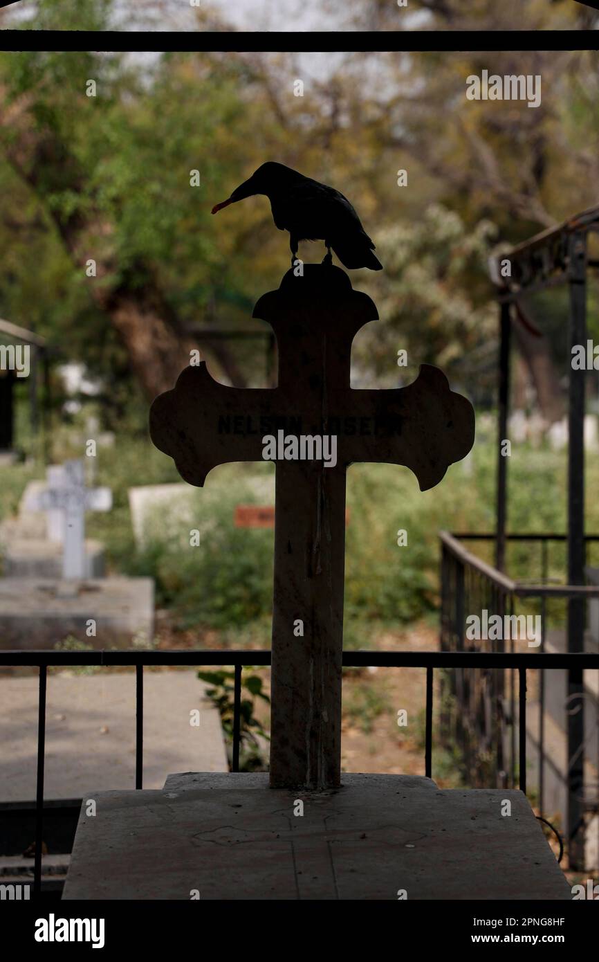 Silhouette d'un corbeau perché sur une croix au cimetière chrétien indien de Paharganj, New Delhi, Inde Banque D'Images Silhouette d'un corbeau perché sur une croix au cimetière chrétien indien de Paharganj, New Delhi, Inde Banque D'Images
