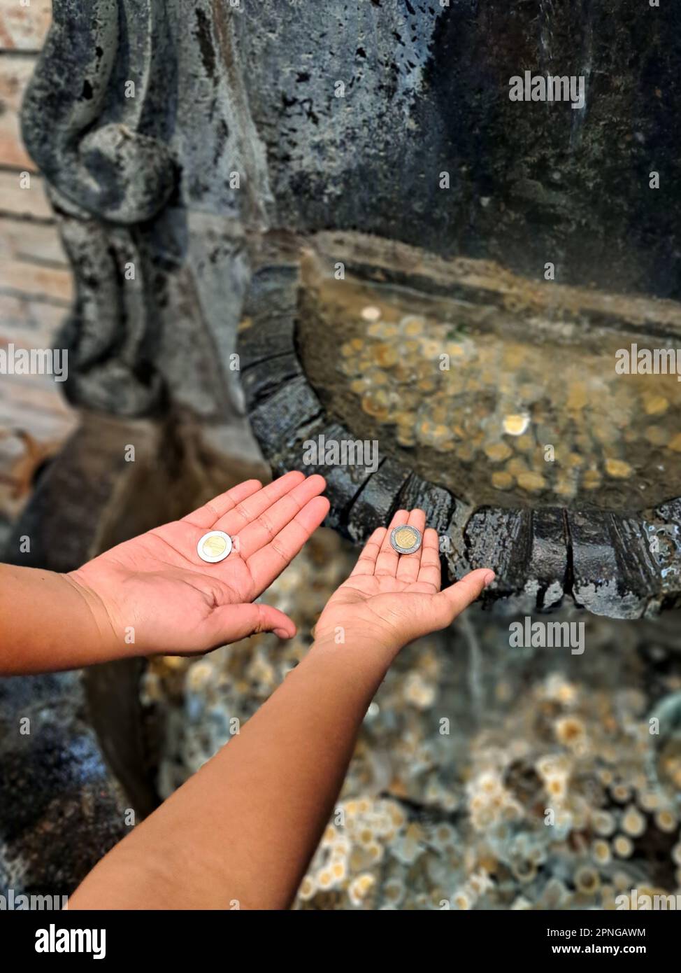 Mains de petits enfants avec des pièces qui sont jetées dans une fontaine où ils demandent des souhaits qui sont remplies avec enthousiasme Banque D'Images