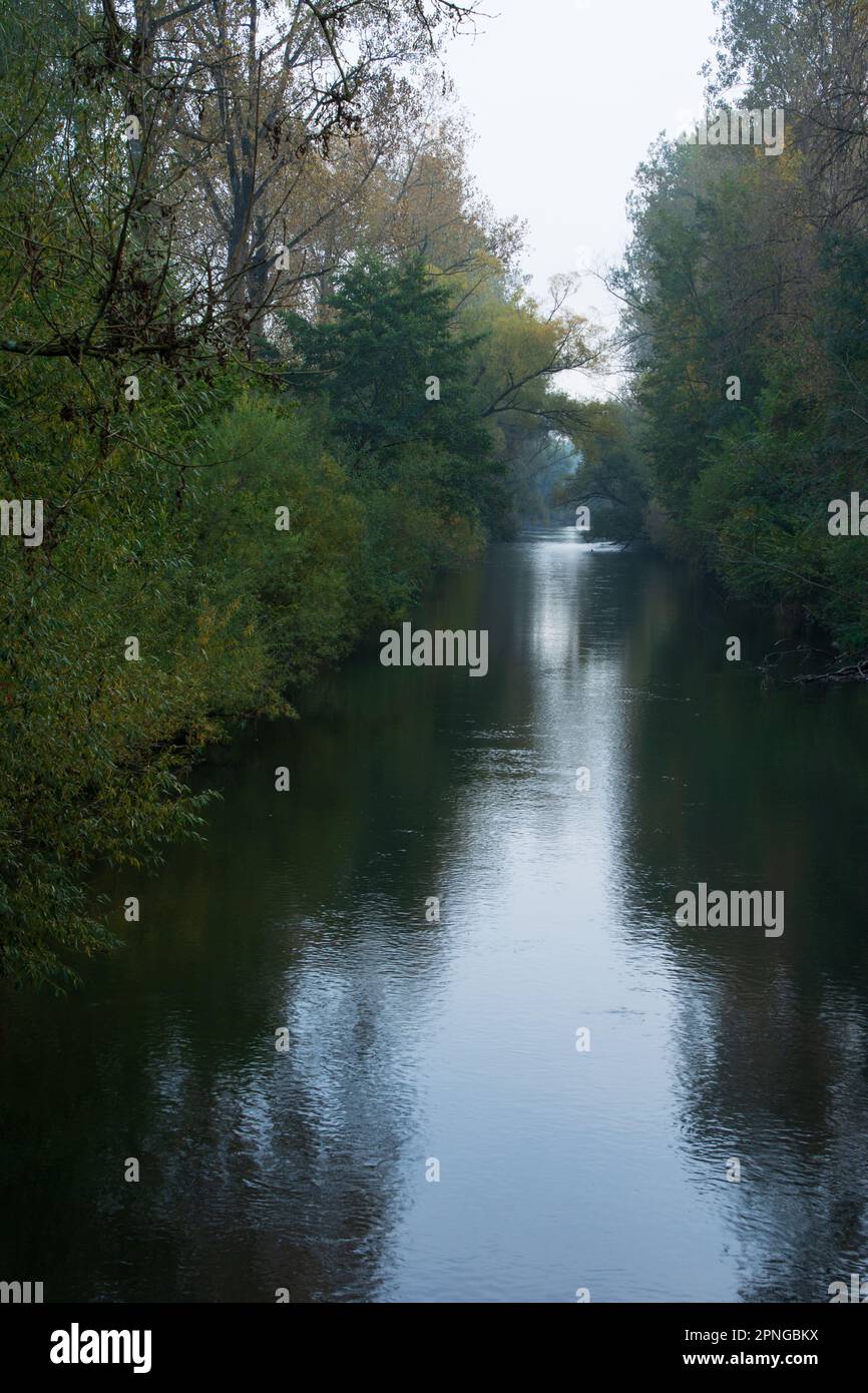 cours d'automne avec arbres sur la rive et brume Banque D'Images