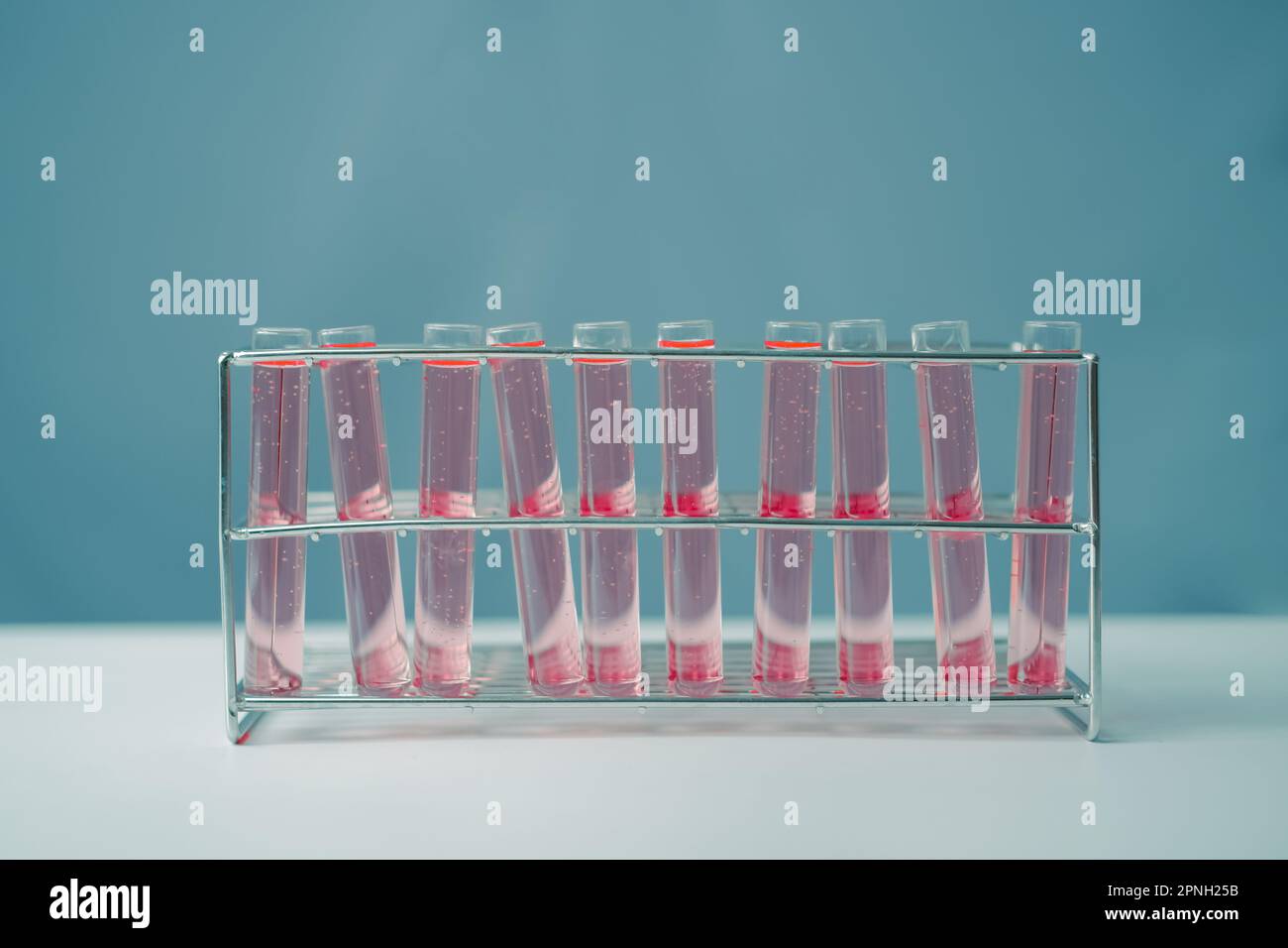 Tube à essai rempli de produits chimiques rouges pour laboratoire expérimental en chimie. Verrerie dans la recherche médicale. Laboratoire scientifique pour Biotechnolog Banque D'Images