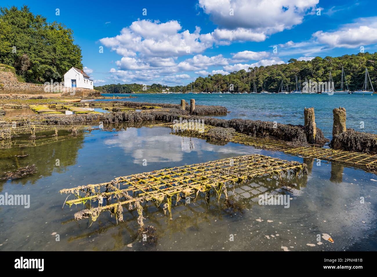 Vue panoramique sur la ferme d'huîtres de Riec sur Belon en Bretagne, dans un ciel spectaculaire Banque D'Images Vue panoramique sur la ferme d'huîtres de Riec sur Belon en Bretagne, dans un ciel spectaculaire Banque D'Images
