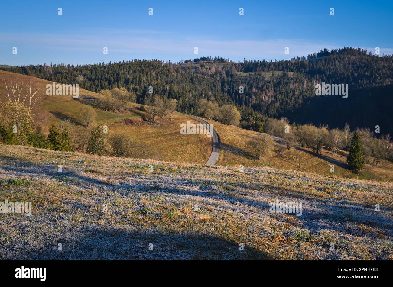 Beau paysage de printemps le matin dans la campagne. Vue sur la route entre les collines du village d'Asturna en Slovaquie. Banque D'Images