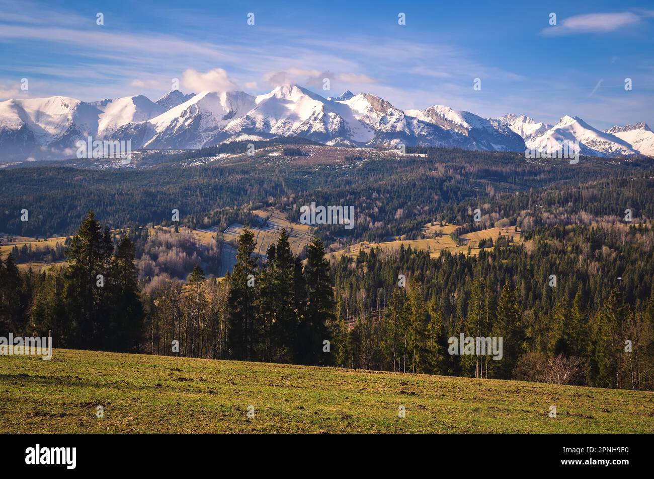 Panorama charmant des montagnes polonaises Tatra le matin. Vue sur les Hautes Tatras depuis le village de Lapszanka, Pologne. Banque D'Images