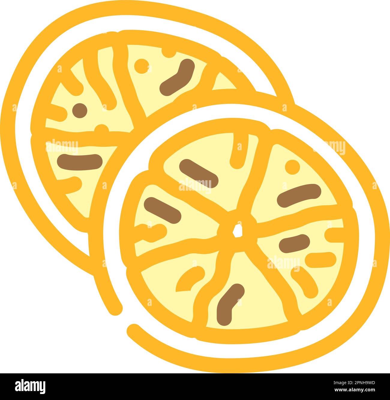 illustration vectorielle d'icône de couleur de fruit séché orange Illustration de Vecteur