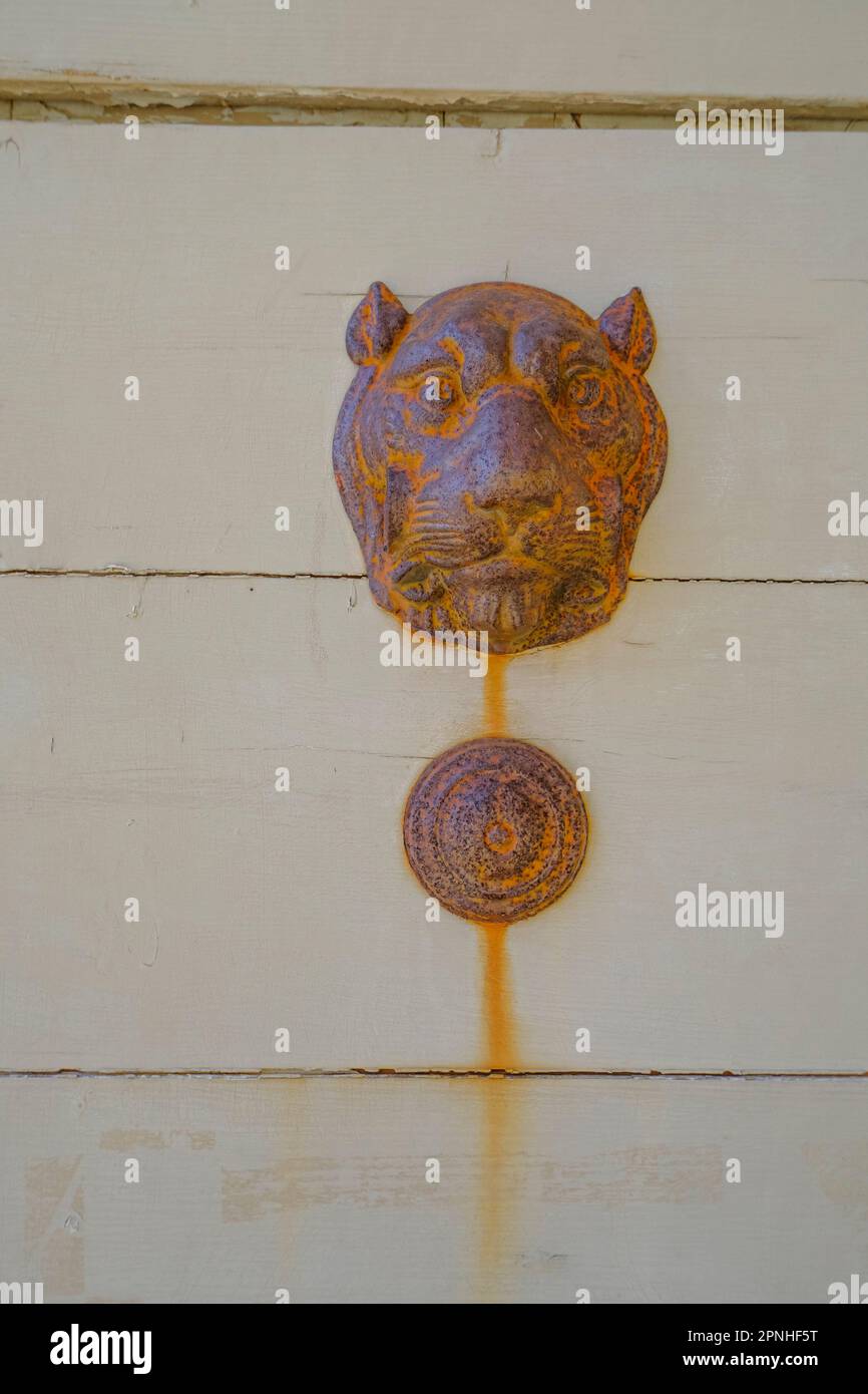 décoration en forme de tête de lion rouillée de fer d'époque sur la porte en bois. Extérieur, européen Banque D'Images