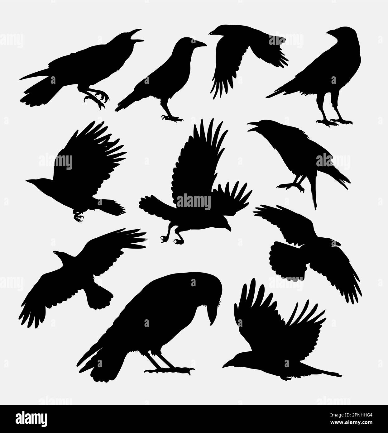 Oiseau de corbeau, silhouette d'animal de volaille. Bon usage pour symbole, logo, icône web, mascotte, éléments de jeu, ou n'importe quelle conception que vous voulez. Facile à utiliser, à modifier ou à modifier Illustration de Vecteur