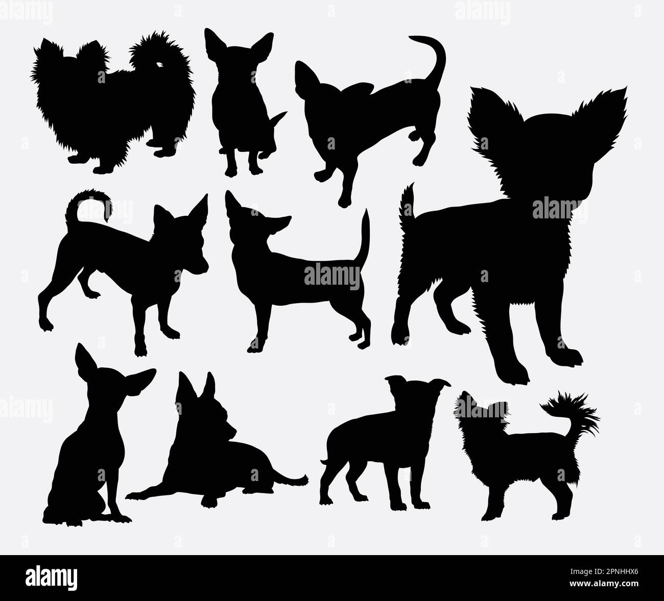 Silhouette d'animal de compagnie de chien Chiwawa. Bonne utilisation pour le symbole, l'icône Web, la marque, l'autocollant, le logo, ou n'importe quelle conception que vous voulez. Facile à utiliser. Illustration de Vecteur