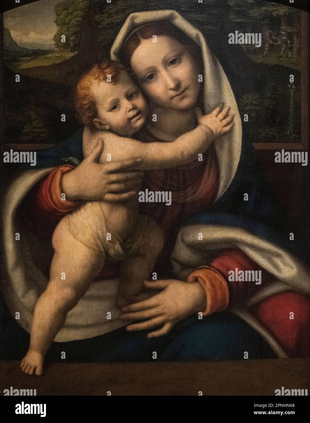 Andrea Solario: 'Vierge à l'enfant' (1510) Banque D'Images