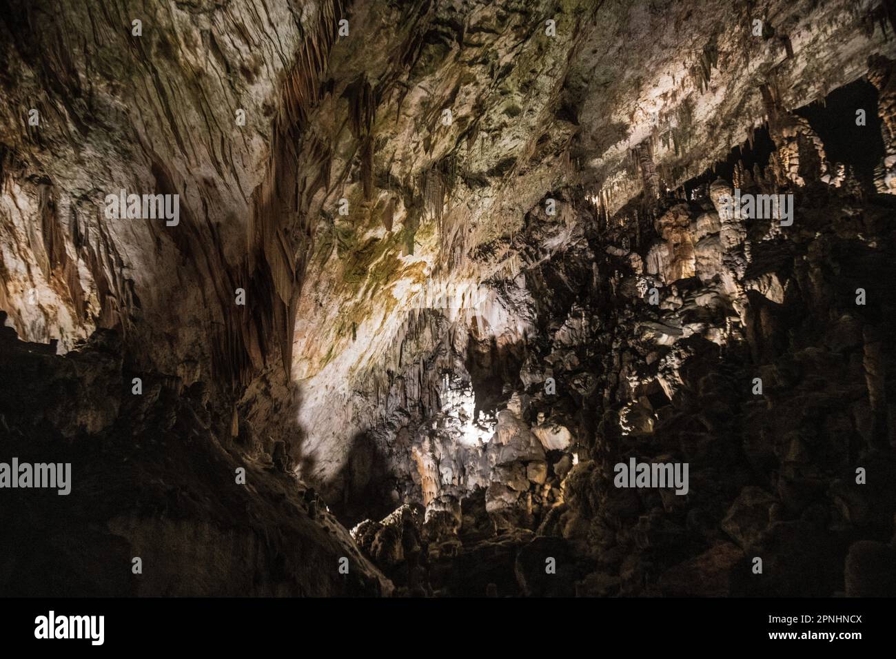 Intérieur de la grotte de Postojna (Postojnska Jama). Slovénie Banque D'Images