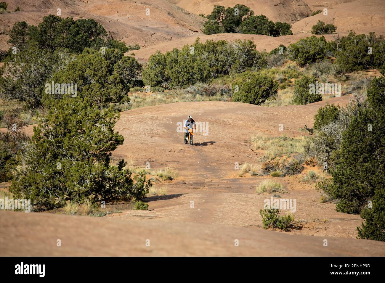 Motocross rider, Slickrock Trail, Sand Flats Recreation Area, Moab, Utah, États-Unis Banque D'Images