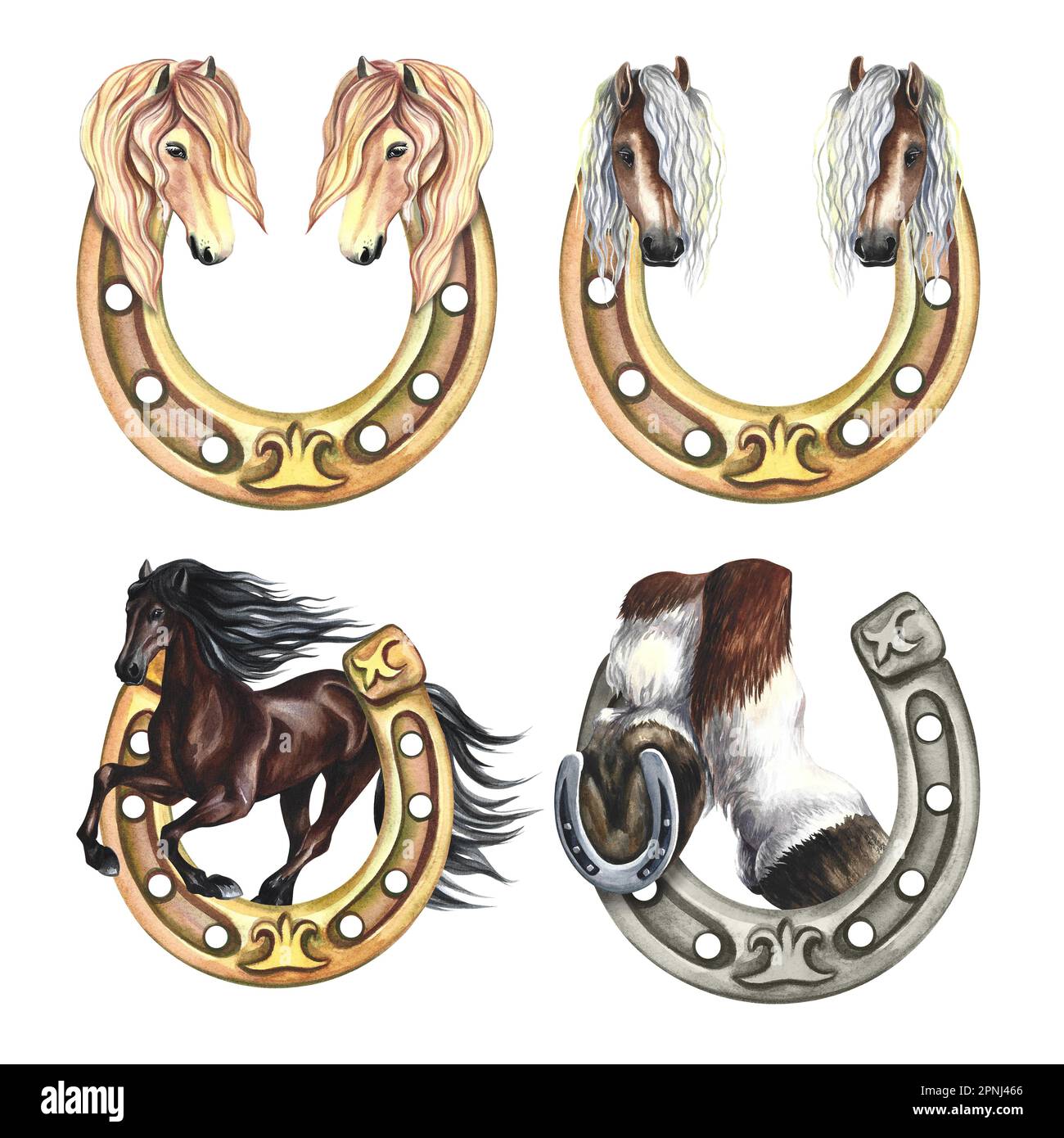 Logo cheval cabré Banque d'images détourées - Alamy