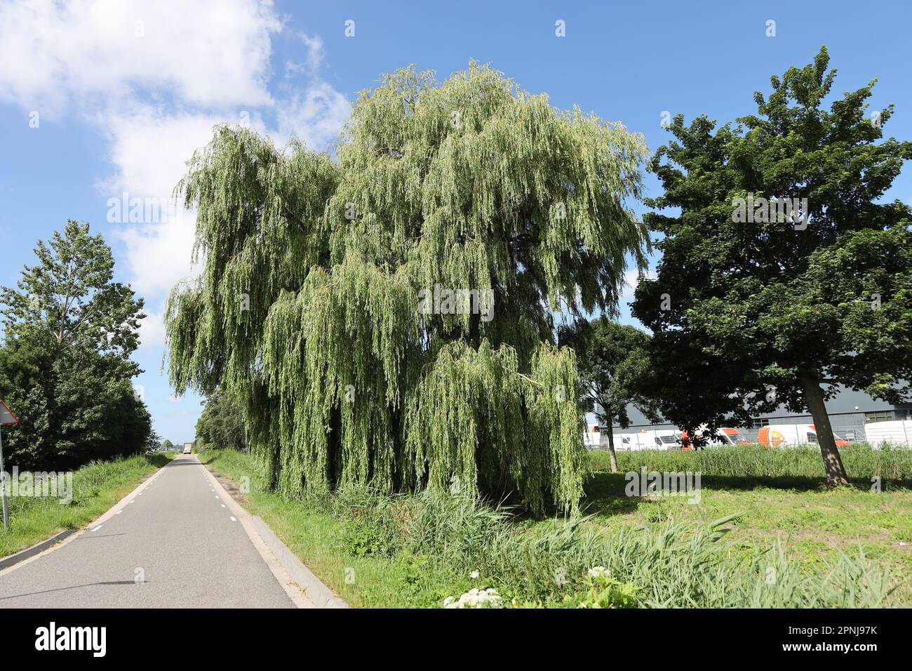 Prairies et routes dans la région de Zuidplaspolder où le nouveau village sera construit aux pays-Bas Banque D'Images