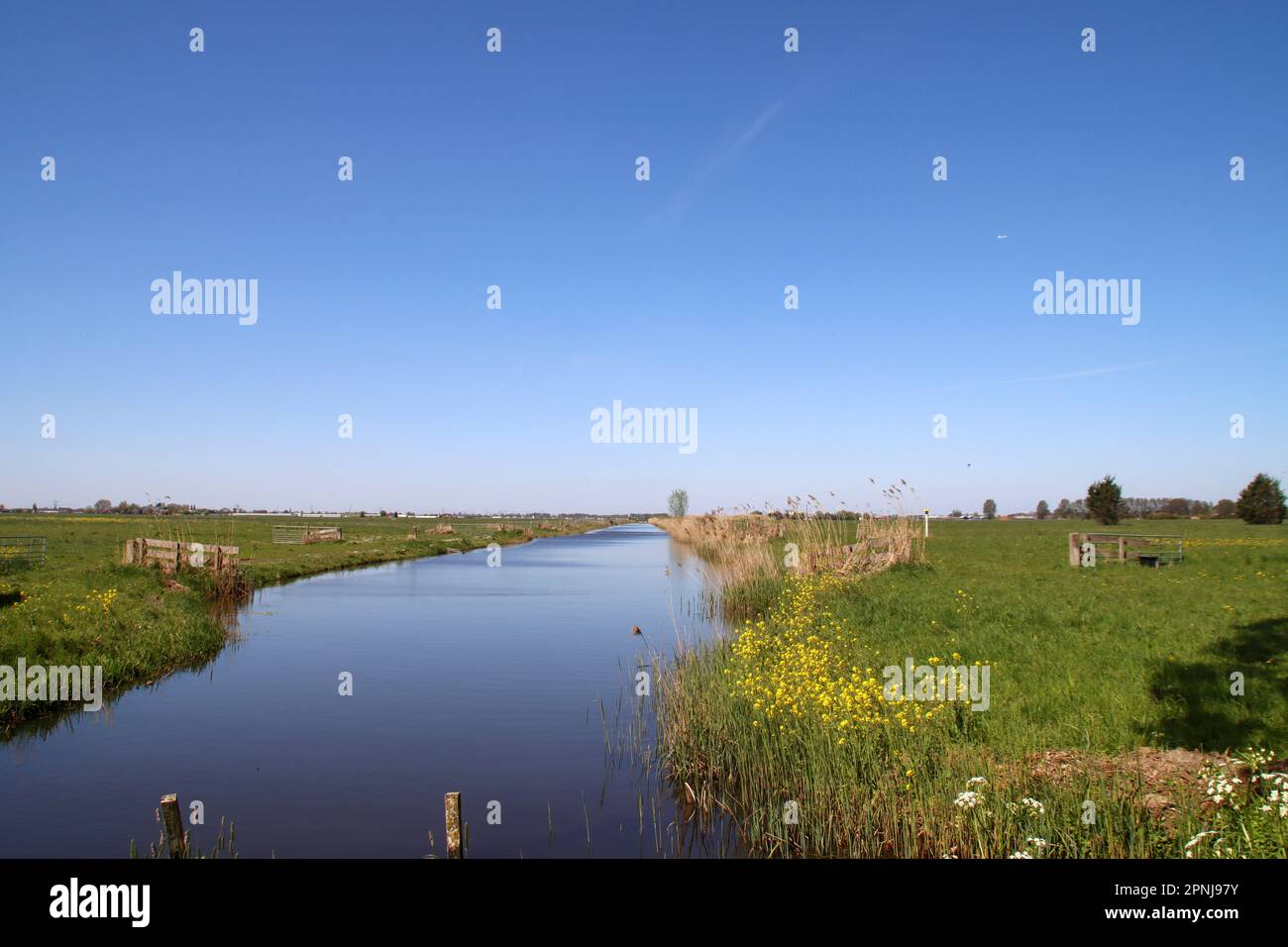 Prairies et routes dans la région de Zuidplaspolder où le nouveau village sera construit aux pays-Bas Banque D'Images