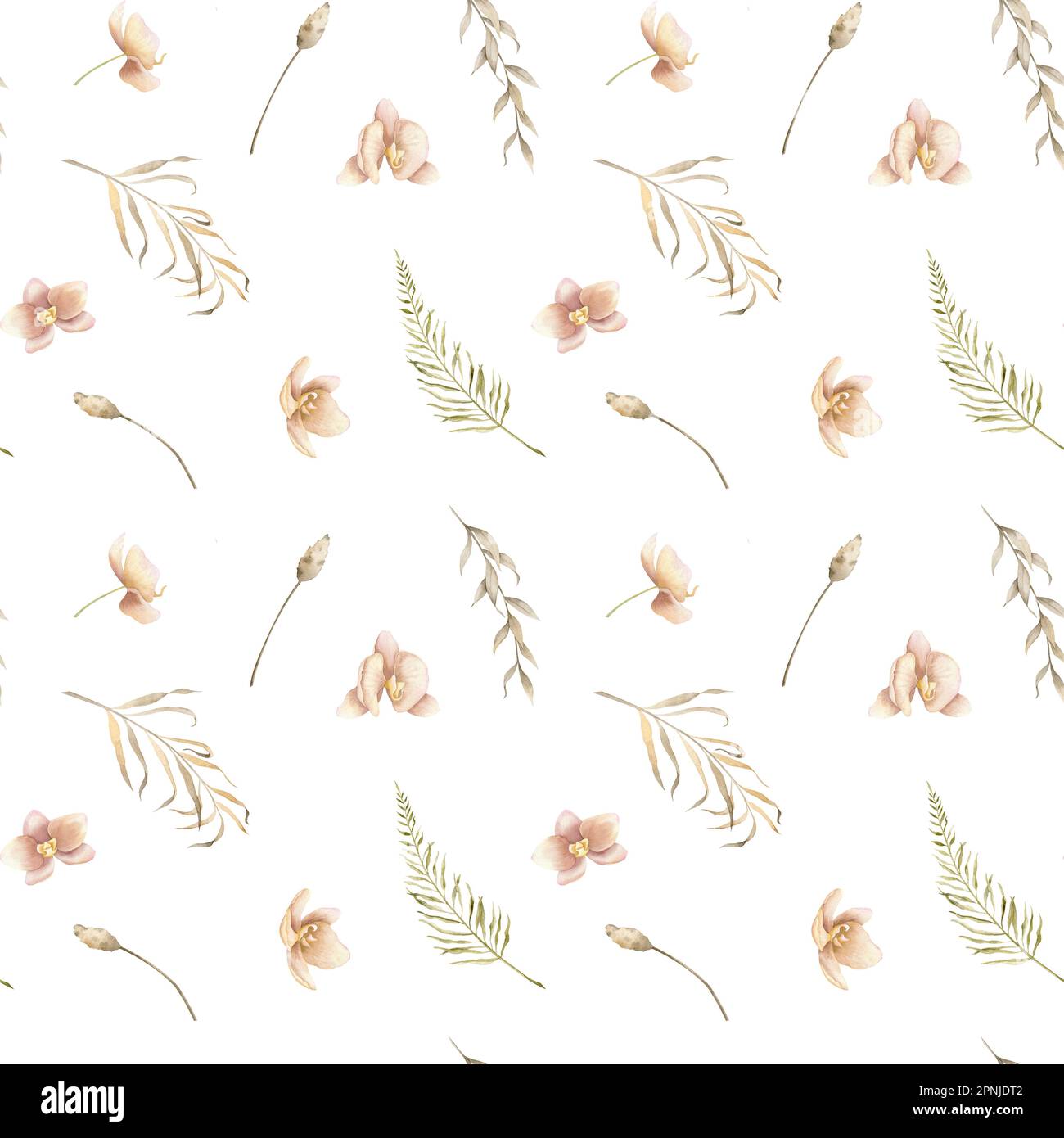 Motif floral avec fleurs d'orchidées roses et branches séchées sur fond isolé. Illustration de l'aquarelle dessinée à la main avec des plantes et des herbes pour la conception textile ou le papier d'emballage. Décoration botanique. Banque D'Images