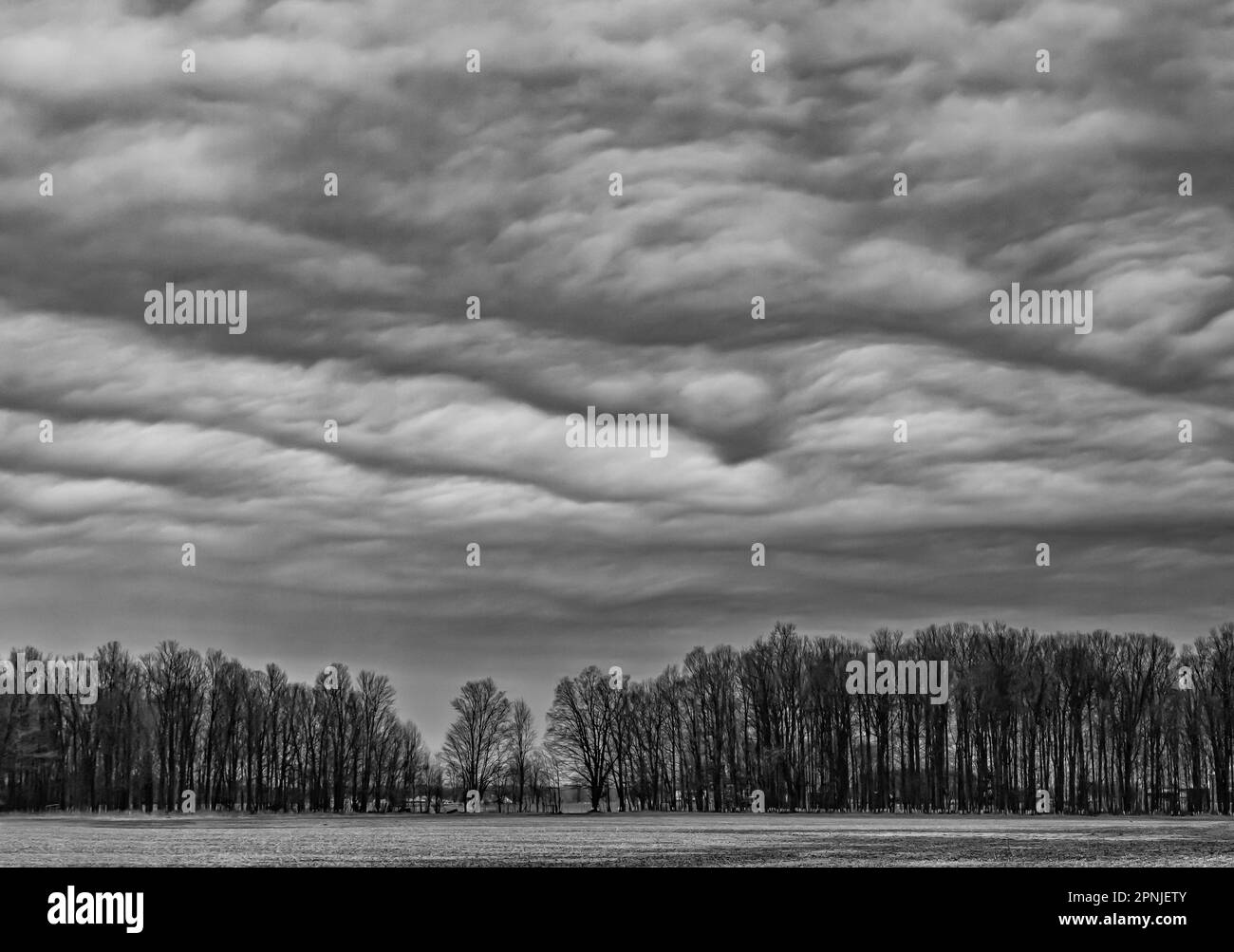Stratocumulus nuages sur les terres agricoles et les arbres, centre du Michigan, États-Unis Banque D'Images