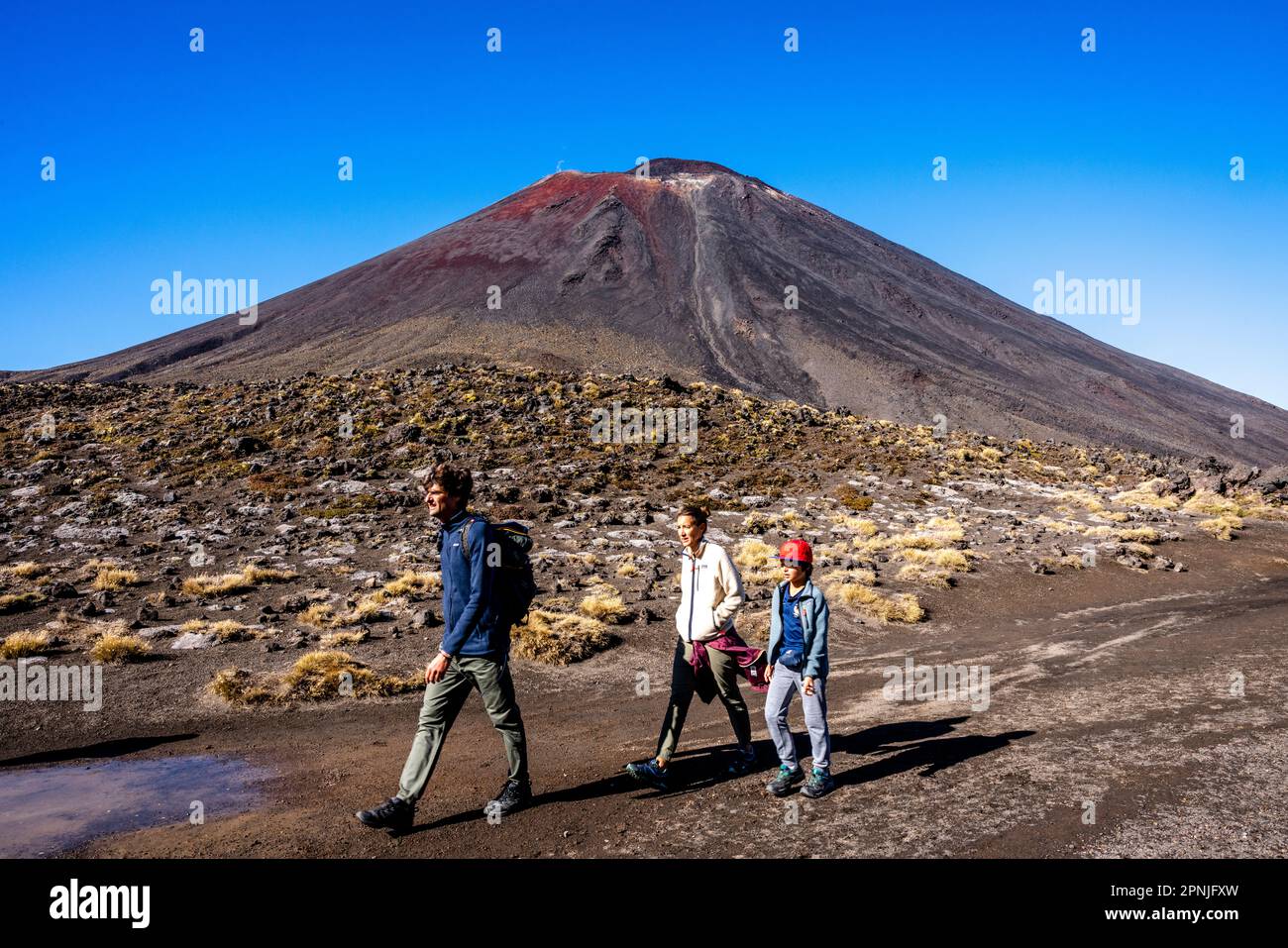 Vue sur le Mont Ngauruhoe sur la promenade de Tongariro Alpine Crossing, parc national de Tongariro, Île du Nord, Nouvelle-Zélande. Banque D'Images