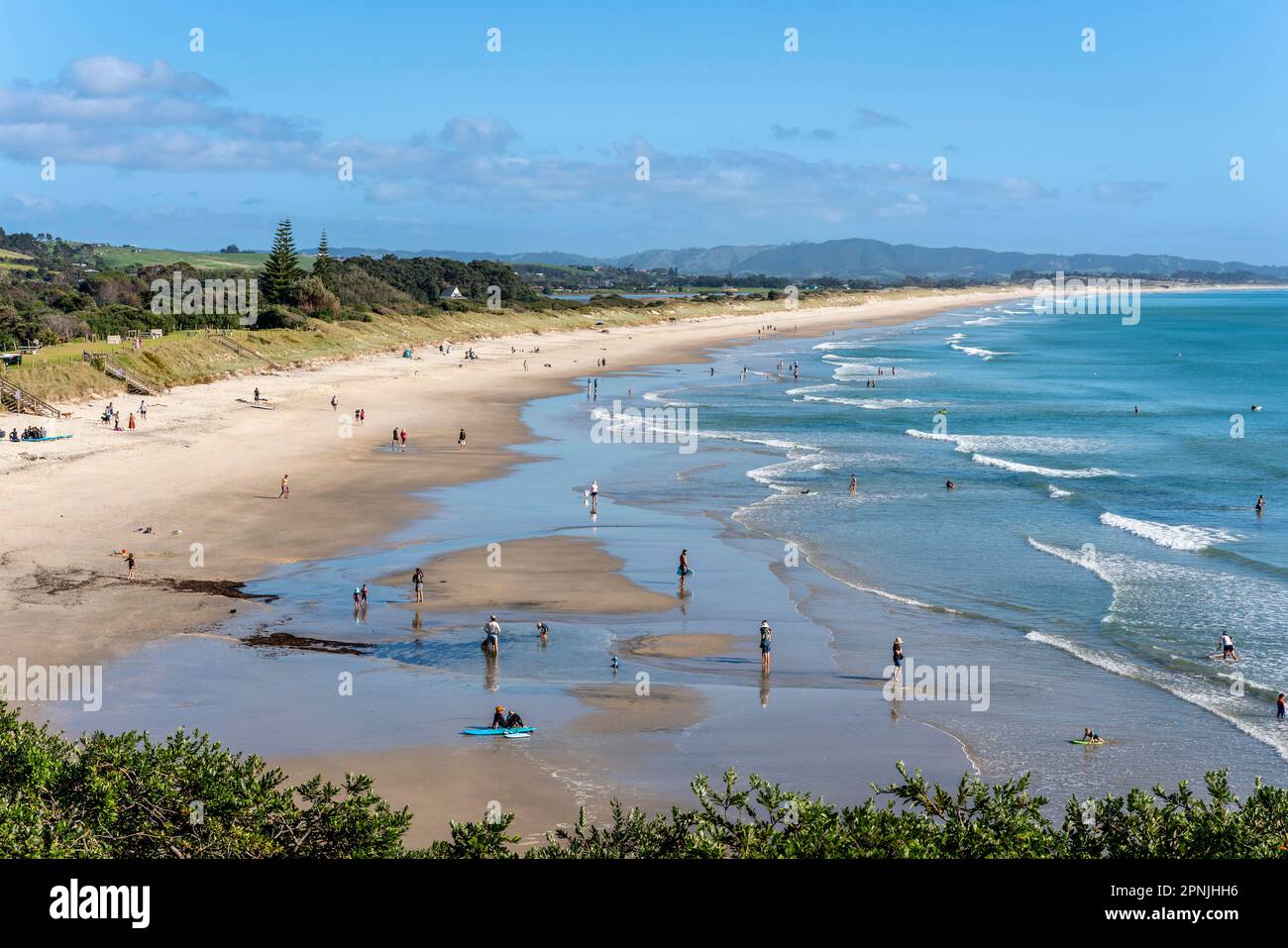 La plage de Waipu Cove, Bream Bay, Northland, Nouvelle-Zélande. Banque D'Images