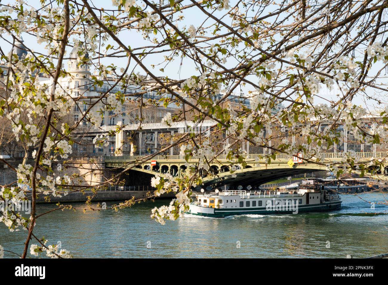 Bateau touristique passant sous le pont de Bir-Hakeim et cerisier en pleine floraison - Paris Banque D'Images