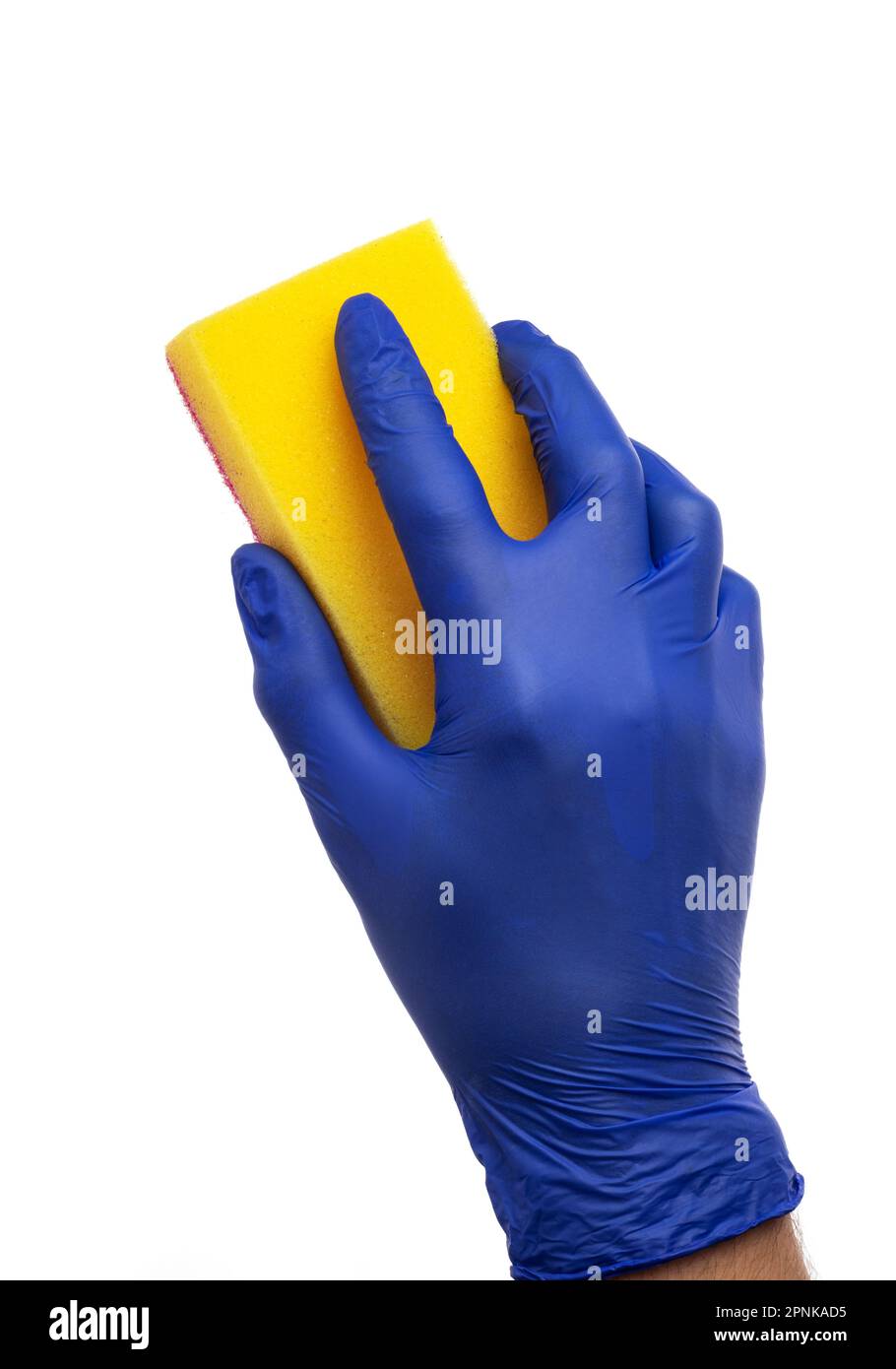 Éponge pour le lavage et le nettoyage à la main masculine. Main dans un gant en latex isolé sur blanc. Une main dans un gant contient une éponge pour le lavage et le nettoyage. Banque D'Images