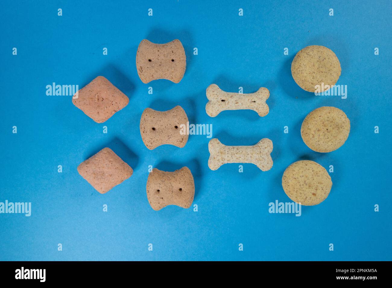 dix biscuits de forme différente pour chiens isolés sur fond bleu Banque D'Images