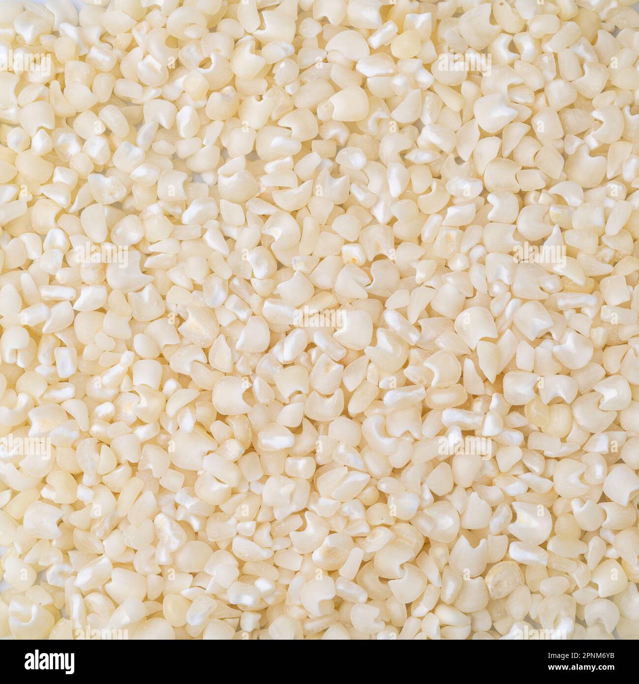 Gros plan, vue de dessus du maïs blanc séché ou du canjica. Toile de fond de la nourriture. Banque D'Images