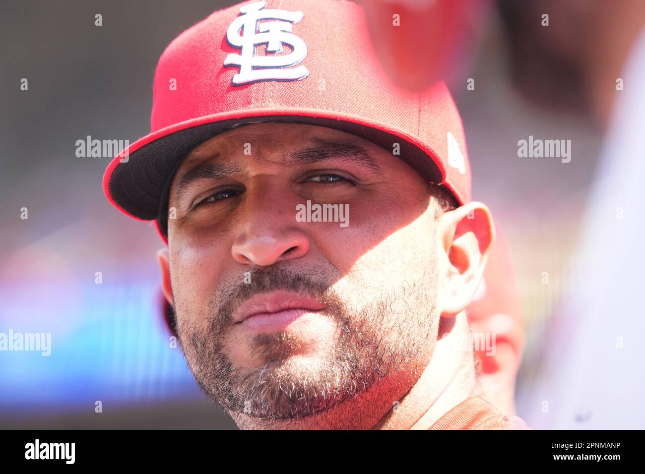 St. Louis, États-Unis. 19th avril 2023. St. Oliver Marmol, directeur de Louis Cardinals, observe l'action contre les Arizona Diamondbacks au Busch Stadium de St. Louis, mercredi, 19 avril 2023. Photo par Bill Greenblatt/UPI crédit: UPI/Alay Live News Banque D'Images