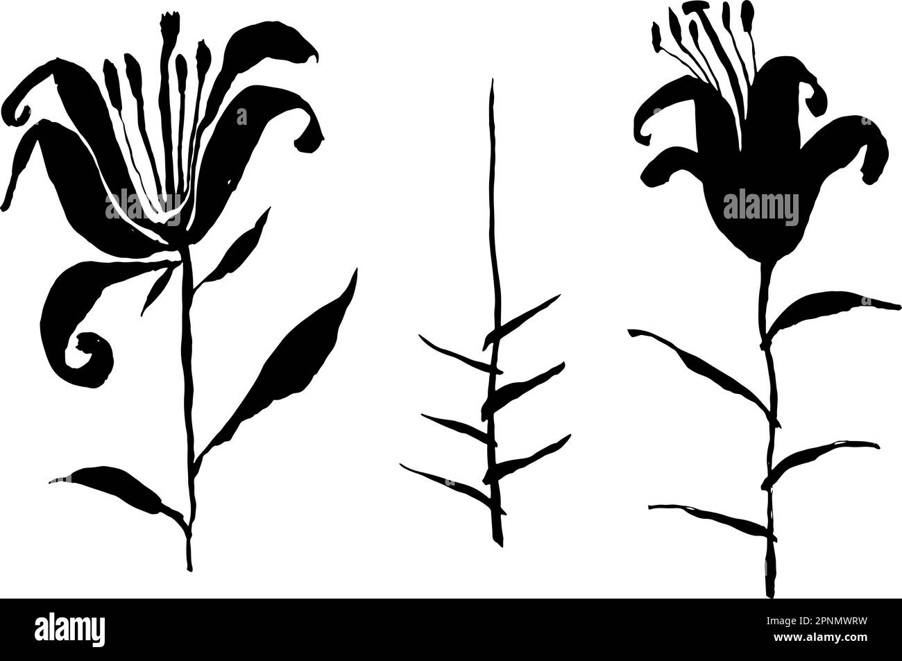 Ensemble de silhouettes à fleurs de nénuphars. Illustration de Vecteur