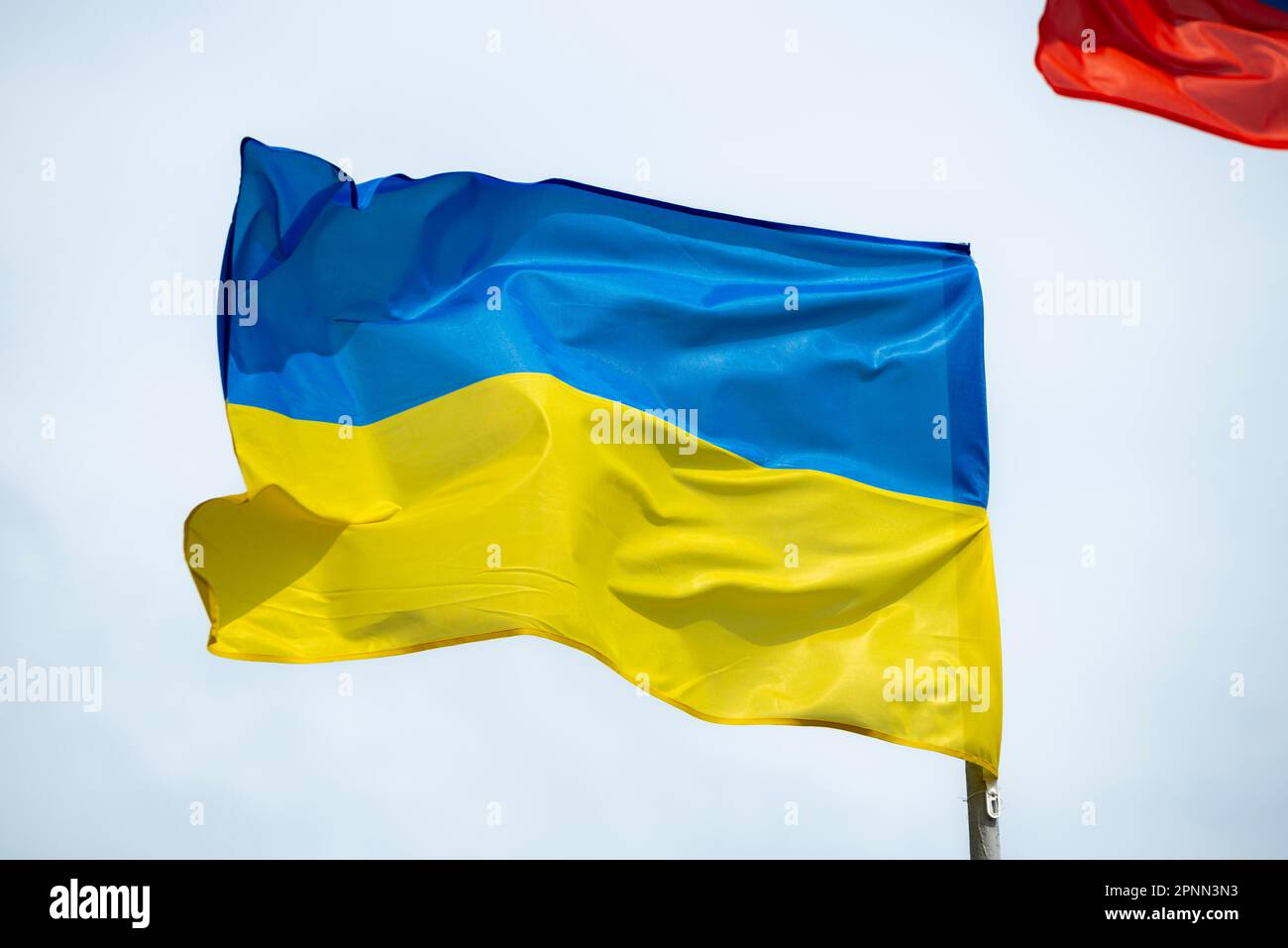 Drapeau de l'Ukraine. sauver l'ukraine Banque D'Images