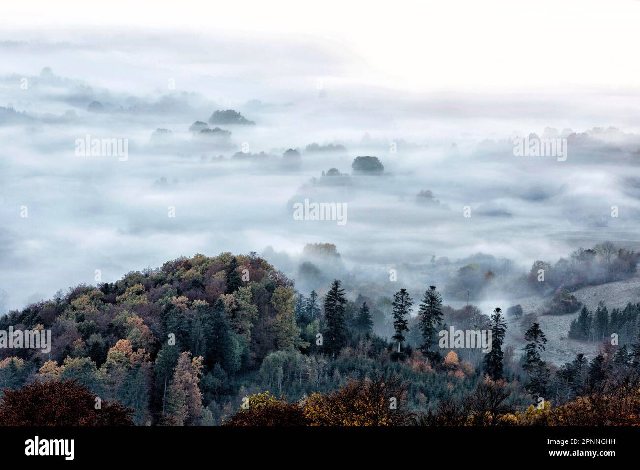 Vue depuis la Corne de Zeller sur le paysage brumeux de l'Alb souabe, forêt d'automne, Onstmettingen, Albstadt, Bade-Wurtemberg, Allemagne Banque D'Images