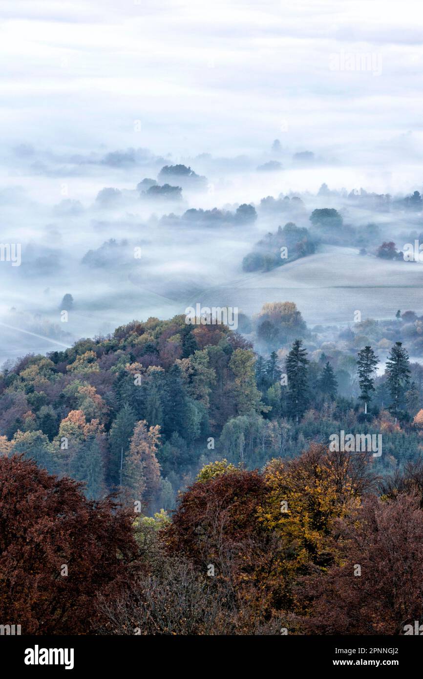 Vue depuis la Corne de Zeller sur le paysage brumeux de l'Alb souabe, forêt d'automne, Onstmettingen, Albstadt, Bade-Wurtemberg, Allemagne Banque D'Images