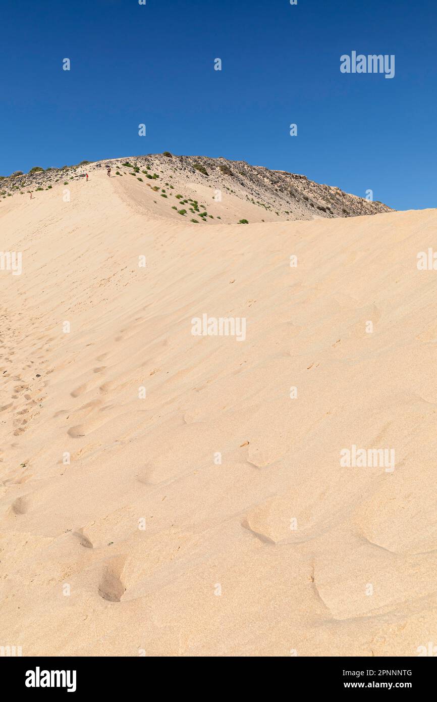 Dune Landscape, Risco del Paso, Fuerteventura, Iles Canaries, Espagne, Risco del Paso, Fuerteventura, Îles Canaries, Espagne Banque D'Images