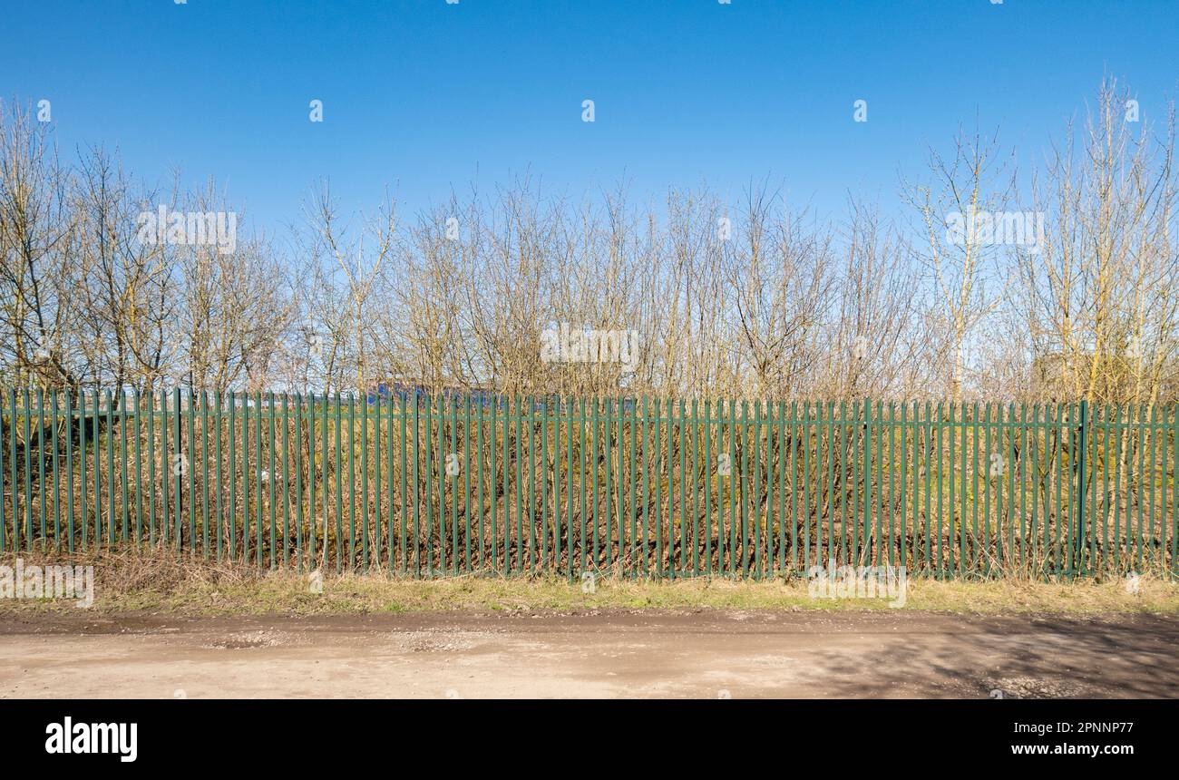 Palissade vert sécurité clôture contre un ciel bleu vif Banque D'Images