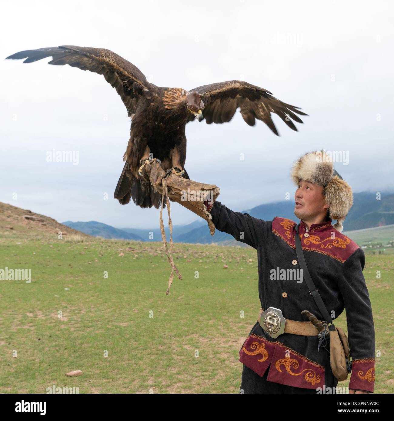 Issyk Kul, Kirghizistan - Mai 2022: L'entraîneur d'aigle et son aigle doré, qualifié dans l'entraînement des aigles pour la chasse, en utilisant les techniques traditionnelles sont passées Banque D'Images