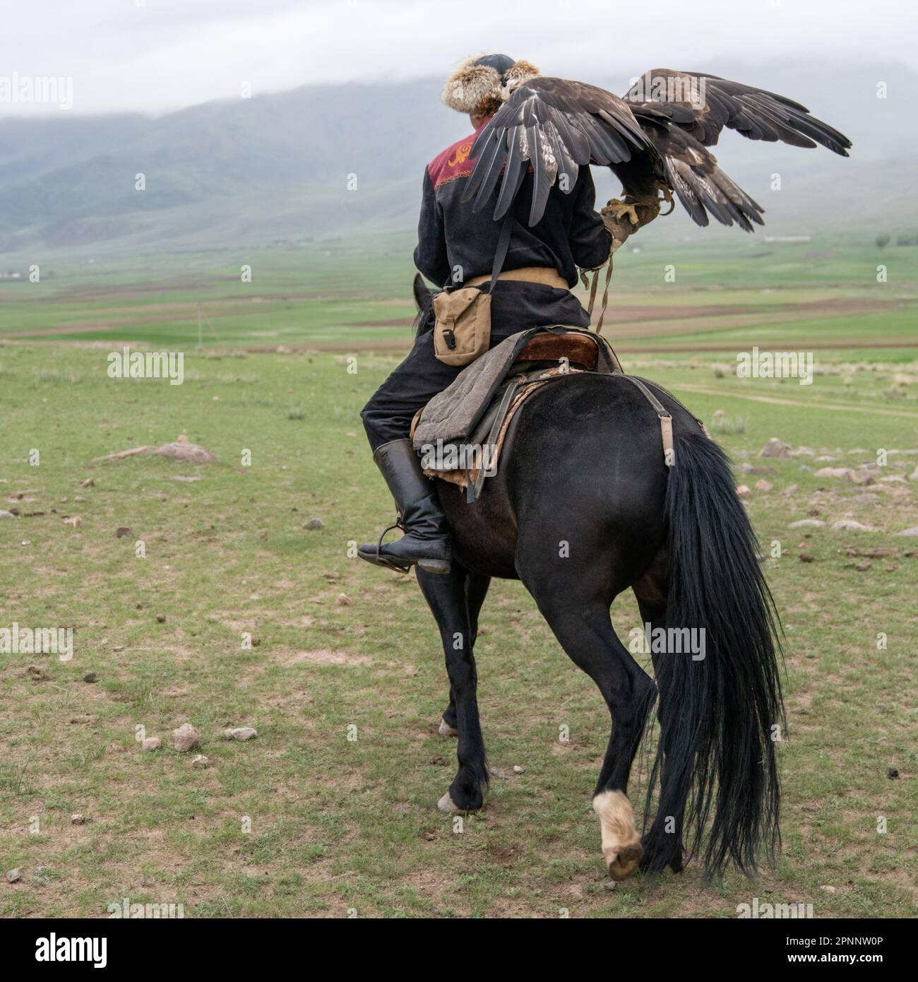Issyk Kul, Kirghizistan - Mai 2022 : entraîneur d'aigle sur un cheval et son aigle doré, qualifié dans l'entraînement des aigles pour la chasse, en utilisant des techniques traditionnelles Banque D'Images