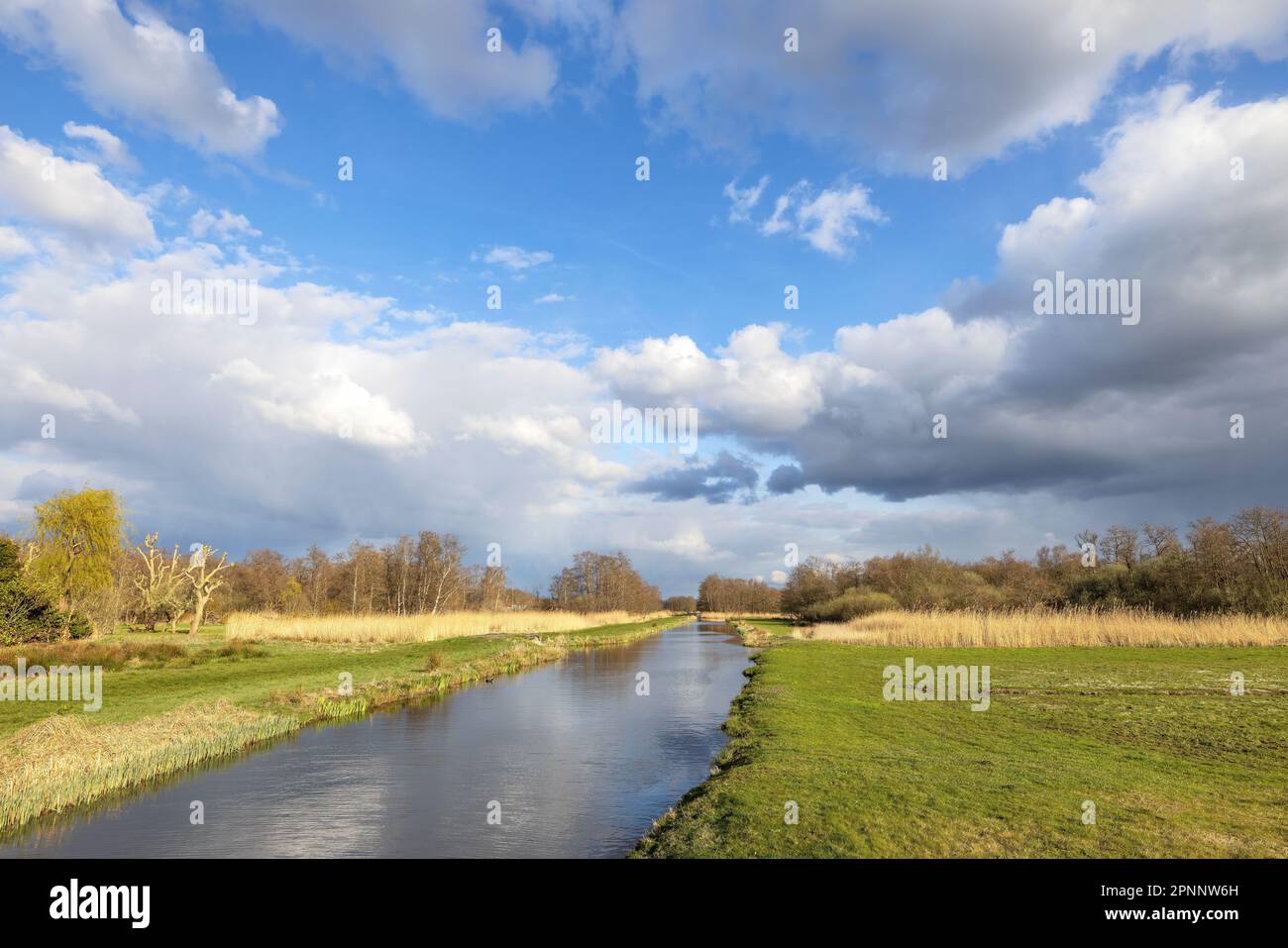 Ankeveen. Les Plassen d'Ankeveense sont un labyrinthe de trous et de couches pour animaux de compagnie, un mélange d'îles, de fossés étroits et d'eau libre. Un beau ciel et de l'eau Banque D'Images