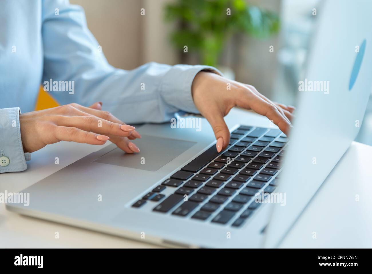 Gros plan femmes d'affaires mains à l'aide de PC portable de saisie sur le clavier, de recherche d'informations, de navigation. Étudiante de sexe féminin en stage de gestionnaire Banque D'Images