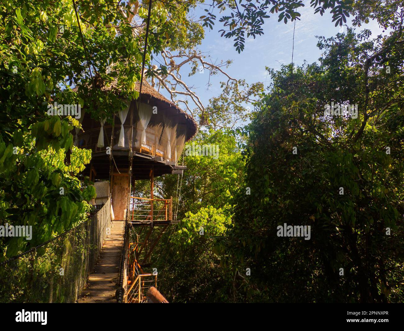 Hébergement de luxe dans la forêt amazonienne. Maison en bois, forêt amazonienne, Amazonie, Réserve nationale de Pacaya Samiria, Pérou, Amérique du Sud. Banque D'Images